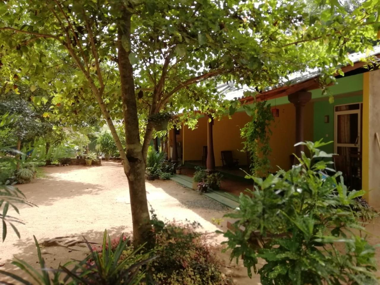 Sigiri La Veranda Lodge Kibissa Exterior foto